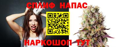 дмт Анапа