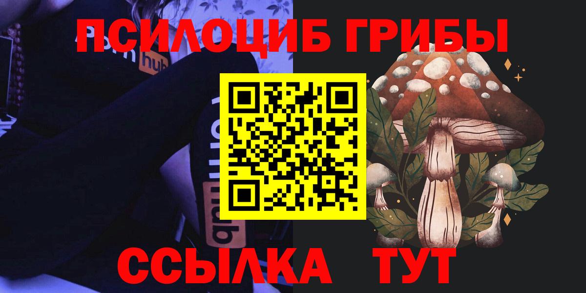 даркнет сайт  Вход с VPN  Волжск  Галлюциногенные грибы Cubensis 